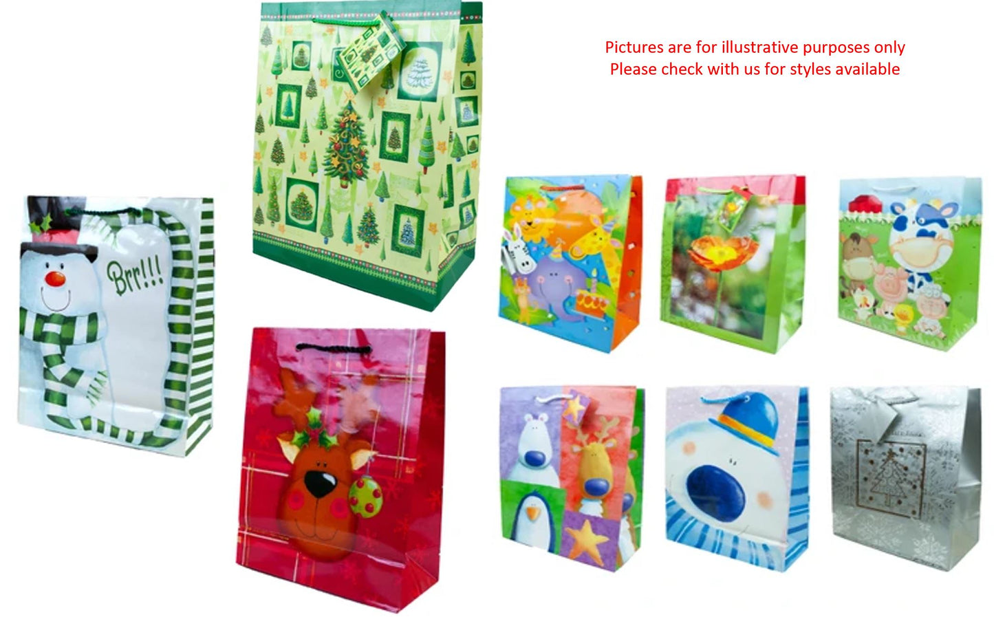 Theme Gift Bags in Assorted Styles