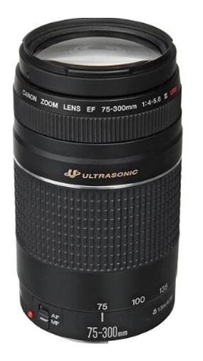 Canon Lens Only EF 75-300mm f/4-5.6 III Telephoto Zoom Lens for Canon SLR Cameras